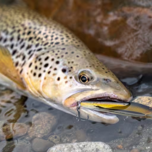 WXM MNWFS US 85 Minnow Hard Lure for Trout