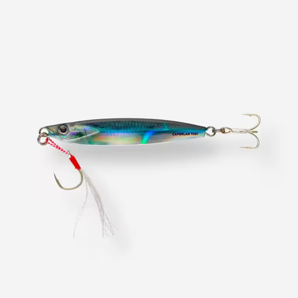 BIASTOS 80 g Spoon Sea Fishing Lure – Anchovy