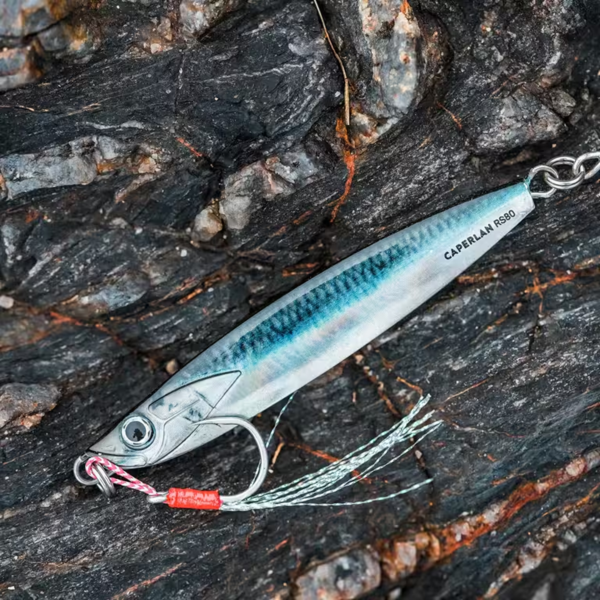 BIASTOS 80 g Spoon Sea Fishing Lure – Anchovy