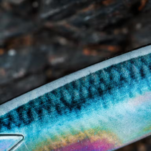 BIASTOS 80 g Spoon Sea Fishing Lure – Anchovy