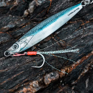 BIASTOS 80 g Spoon Sea Fishing Lure – Anchovy