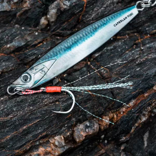 BIASTOS 80 g Spoon Sea Fishing Lure – Anchovy