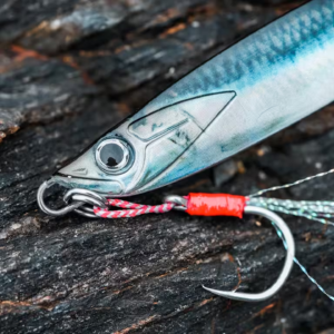 BIASTOS 80 g Spoon Sea Fishing Lure – Anchovy