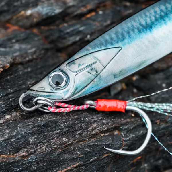 BIASTOS 80 g Spoon Sea Fishing Lure – Anchovy