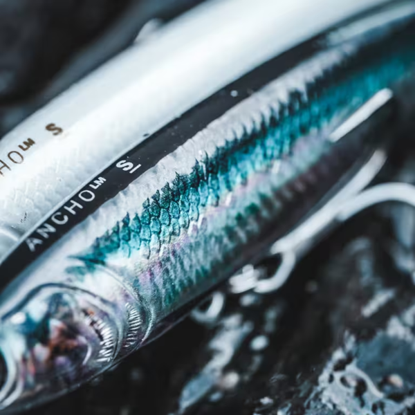 215.png ANCHO LM 95 US Anchovy Sea Fishing Hard Lure