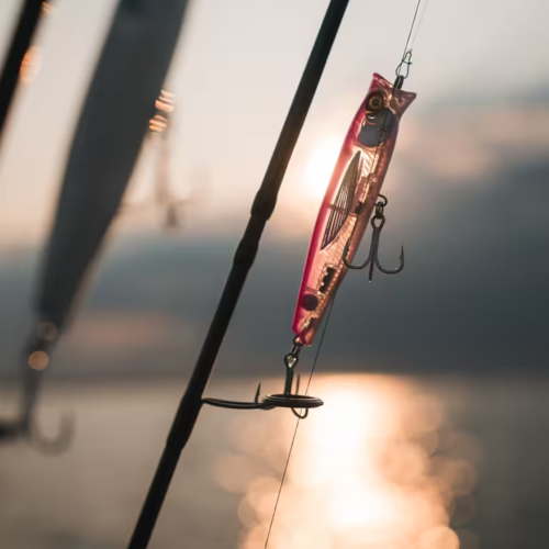 EXOFLY POP 12 cm Pink Surface Sea Fishing Lure
