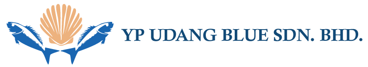 ypu-blue.com
